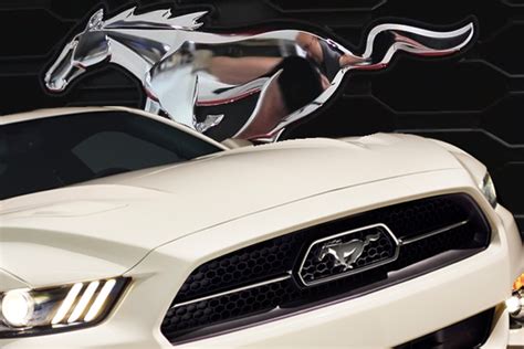 mustang 50 years metal box|2015 50 yr appearance package AND performance package .